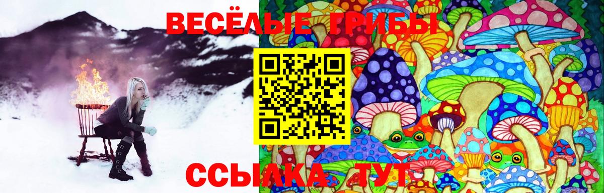 Киров  Галлюциногенные грибы MAGIC MUSHROOMS  Вход с VPN  Галлюциногенные грибы прущие грибы 